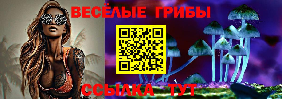 Малоярославец  Псилоцибиновые грибы прущие грибы  Псилоцибиновые грибы ЛСД  Вход с VPN 